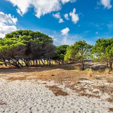 Casa Pompia 4 * Siniscola
